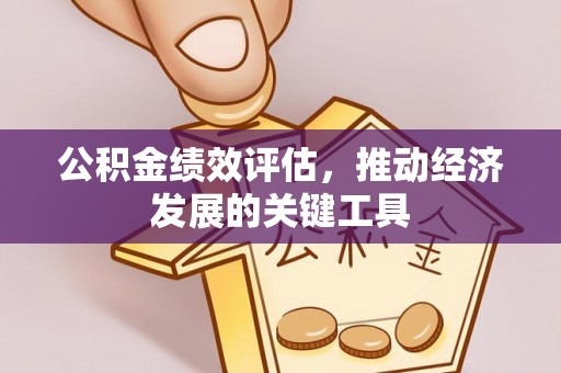 东兴公积金绩效评估，推动经济发展的关键工具