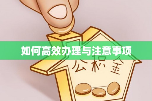 东兴如何高效办理与注意事项