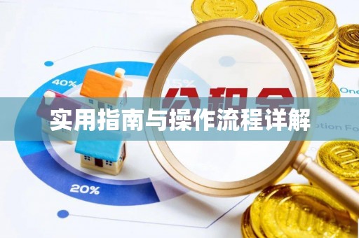 东兴实用指南与操作流程详解