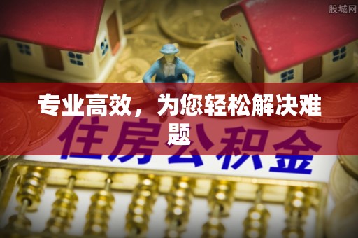 东兴专业高效，为您轻松解决难题